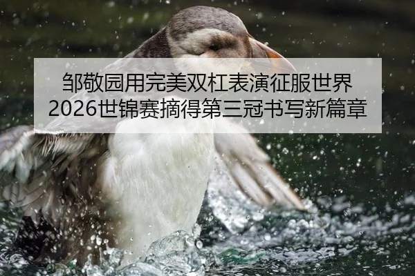 邹敬园用完美双杠表演征服世界 2026世锦赛摘得第三冠书写新篇章